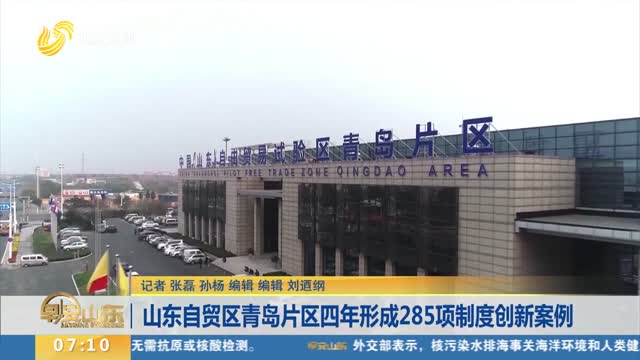 山东自贸区最新动态，详细步骤指南与最新消息速递