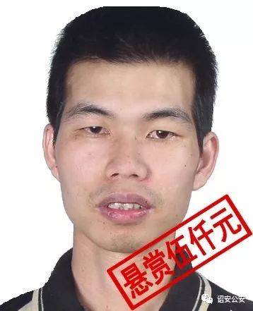 科技助力追捕行动，漳州最新通缉犯名单与智能追踪重塑安全格局！