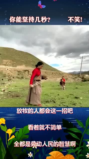 最新招聘，寻找专业放牧工人，共赴自然田野的放牧之旅