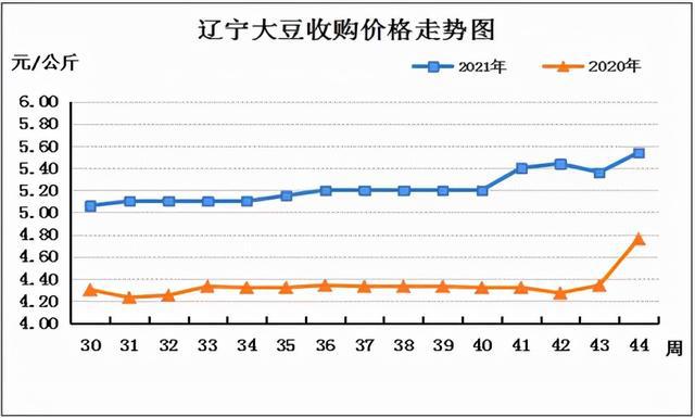 大豆最新价格行情走势分析与展望📈🌱