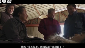 轻质建筑材料制造 第424页