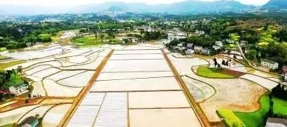 建筑砌块销售 第455页