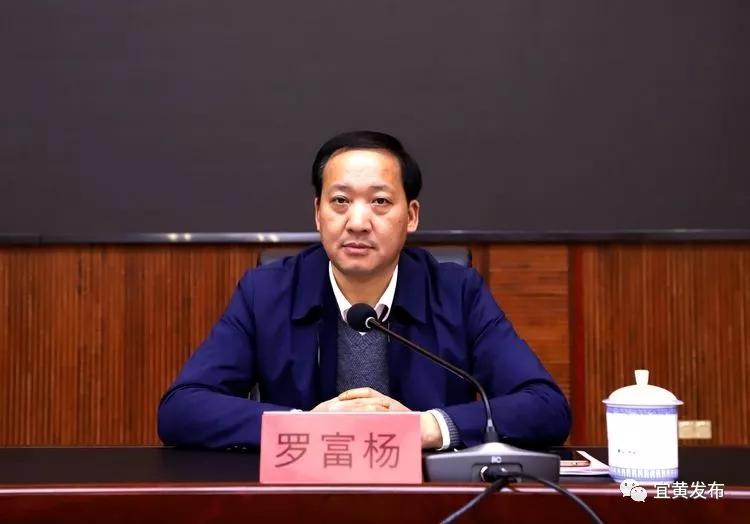 罗富杨最新科技产品介绍，领略未来科技魅力，引领新生活