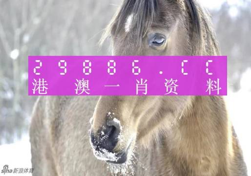 建筑砌块销售 第393页