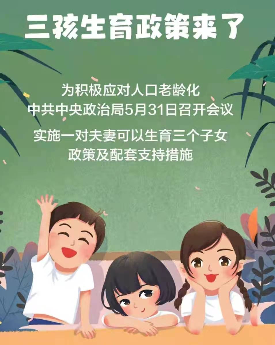 轻质建筑材料制造 第394页