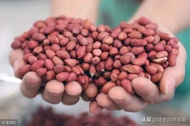轻质建筑材料销售 第404页