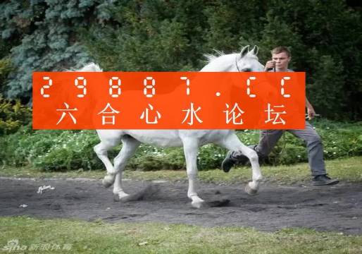 建筑砌块销售 第350页