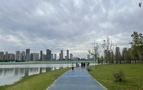 方岛湿地公园最新消息,方岛湿地公园最新消息，游玩与体验指南