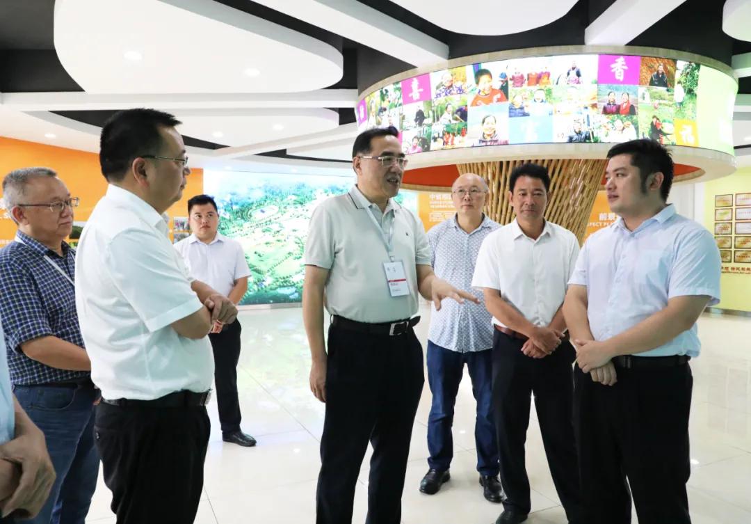 李庄新区最新进展,李庄新区最新进展，自然美景的探索之旅，内心的平静之旅