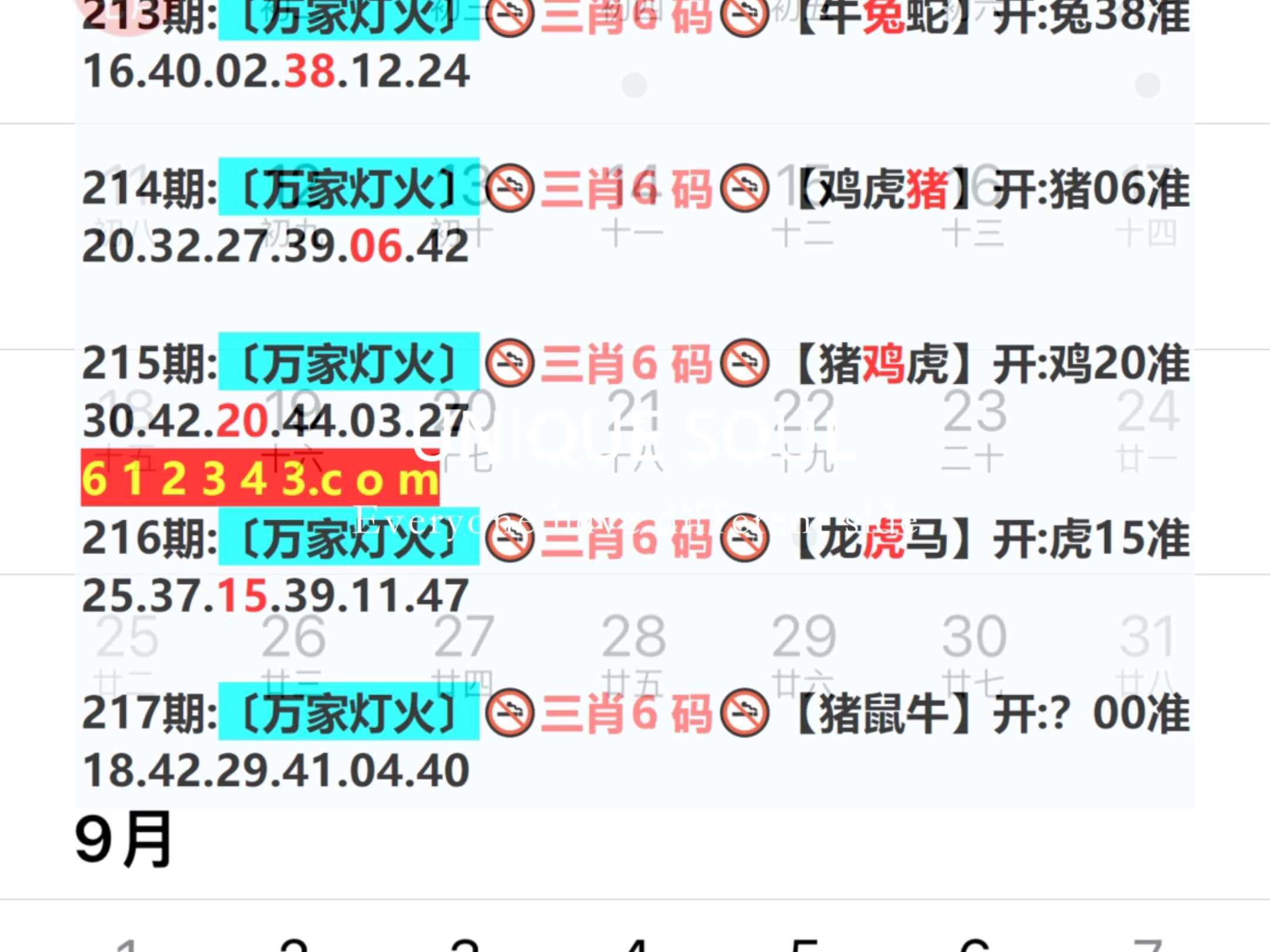 新奥2024一肖一码,全方位操作计划_供给版70.750