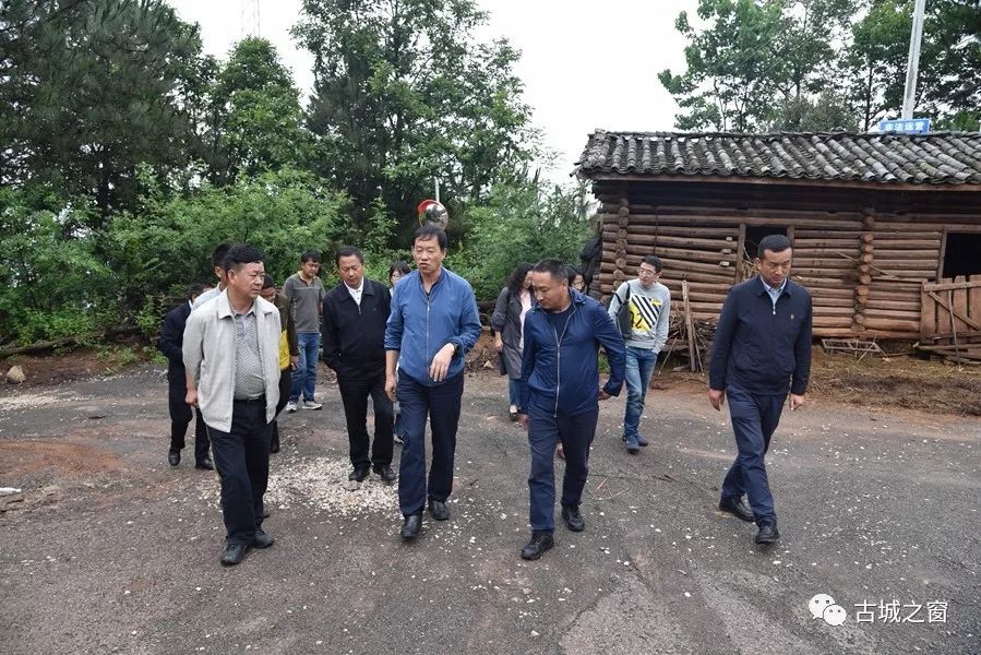 红河州王建新最新动态，欢乐日常揭秘