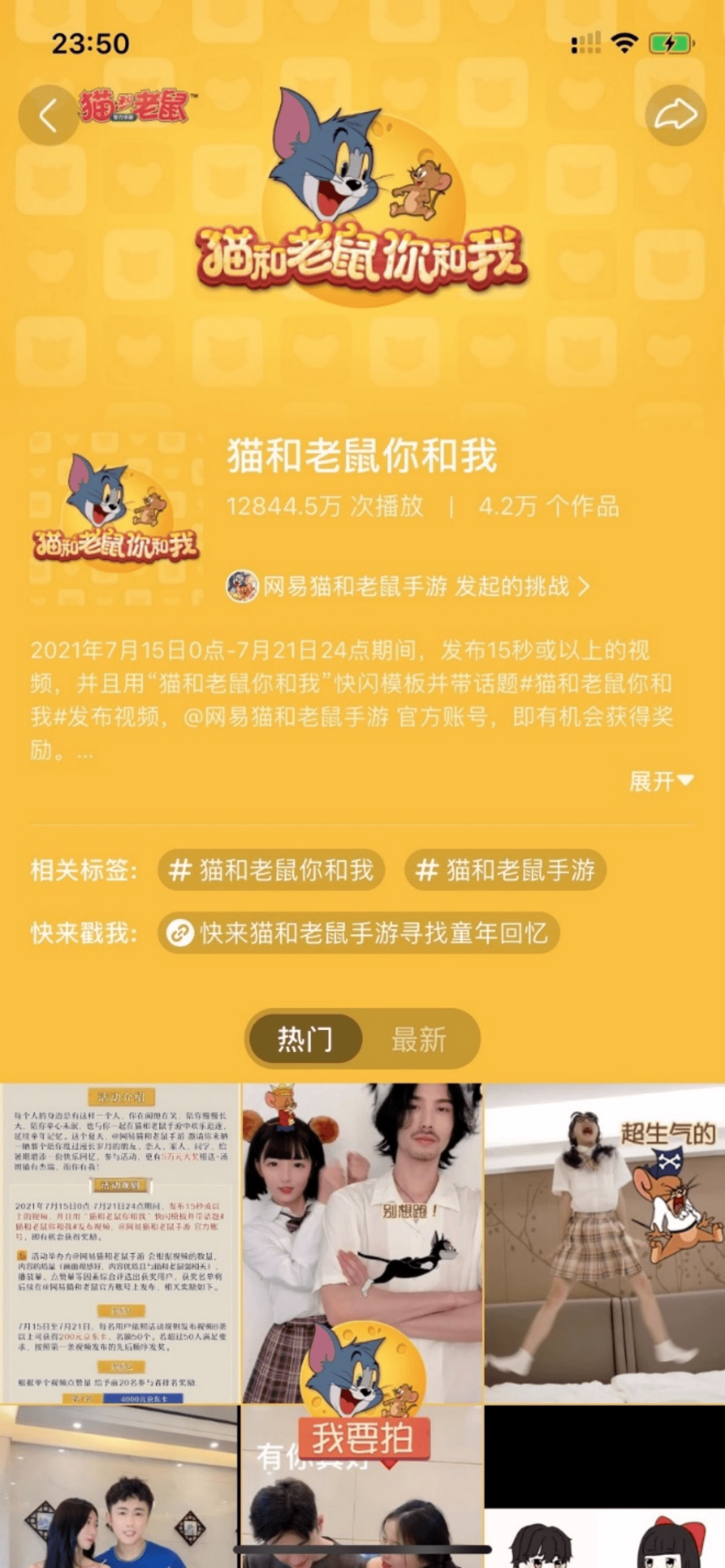 最新快手快猫,最新快手快猫，探索自然美景的轻松之旅，寻找内心的平和与宁静