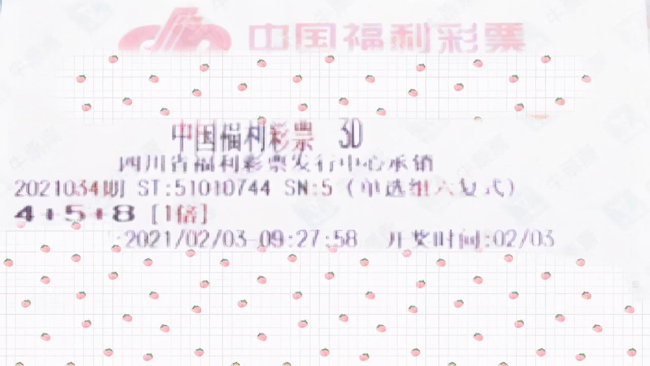 最新开奖公布，小巷深处的神秘宝藏奇遇记