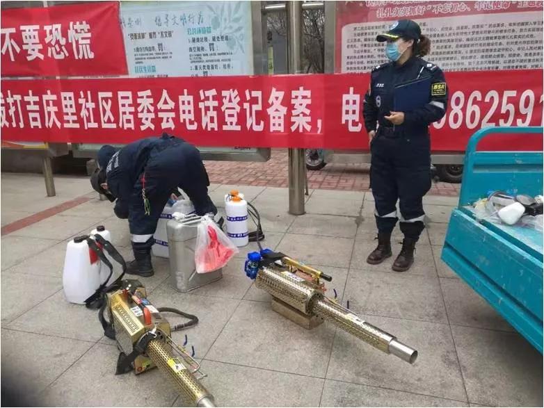 最新文安疫情动态，变化中的力量与自我成就之路