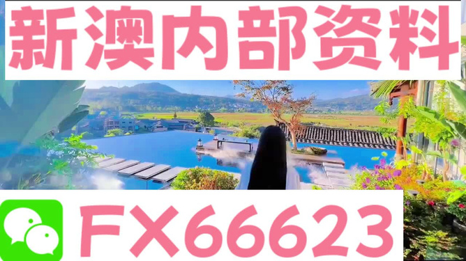 新澳2024年最新版资料,实用性解读策略_掌中宝41.517