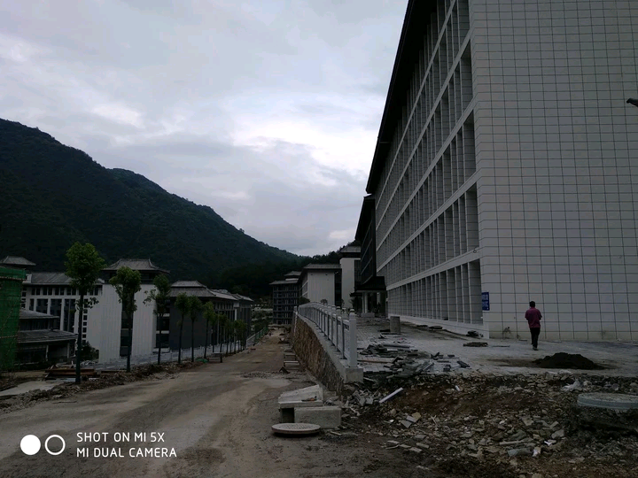 镇安中学最新拆除,镇安中学最新拆除步骤指南