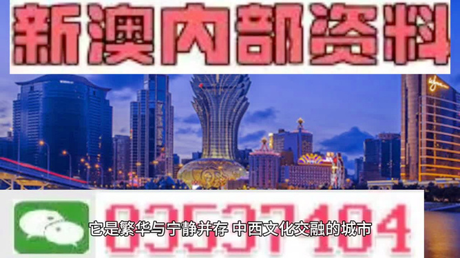 新澳门免费全年资料查询,全面设计实施_稀有版1.356