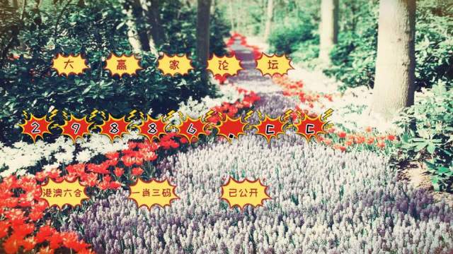 最准一肖一码100中特揭秘,最新碎析解释说法_动态版29.905