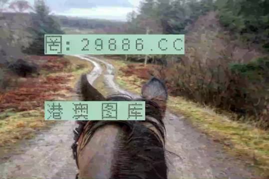 最准一肖一码一一香港澳王一王,深度研究解析_创造力版98.401