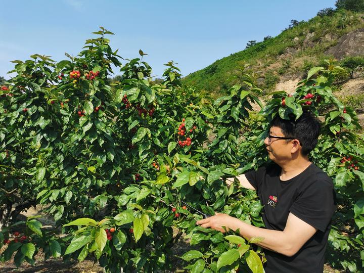 球球最新疫情，防护指南与应对策略