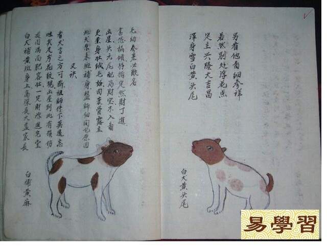 轻质建筑材料销售 第261页