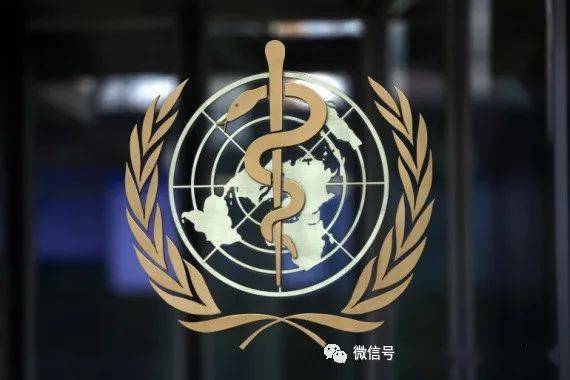 全球心冠肺炎最新数据与彩虹桥下的日常故事