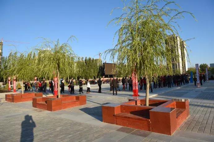 小催任务完成与技能学习全攻略最新消息掌握指南