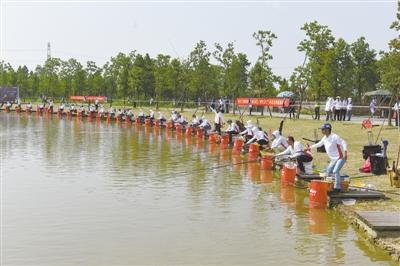 杭州湾湿地公园最新游览指南揭秘，探索自然美景的绝佳去处