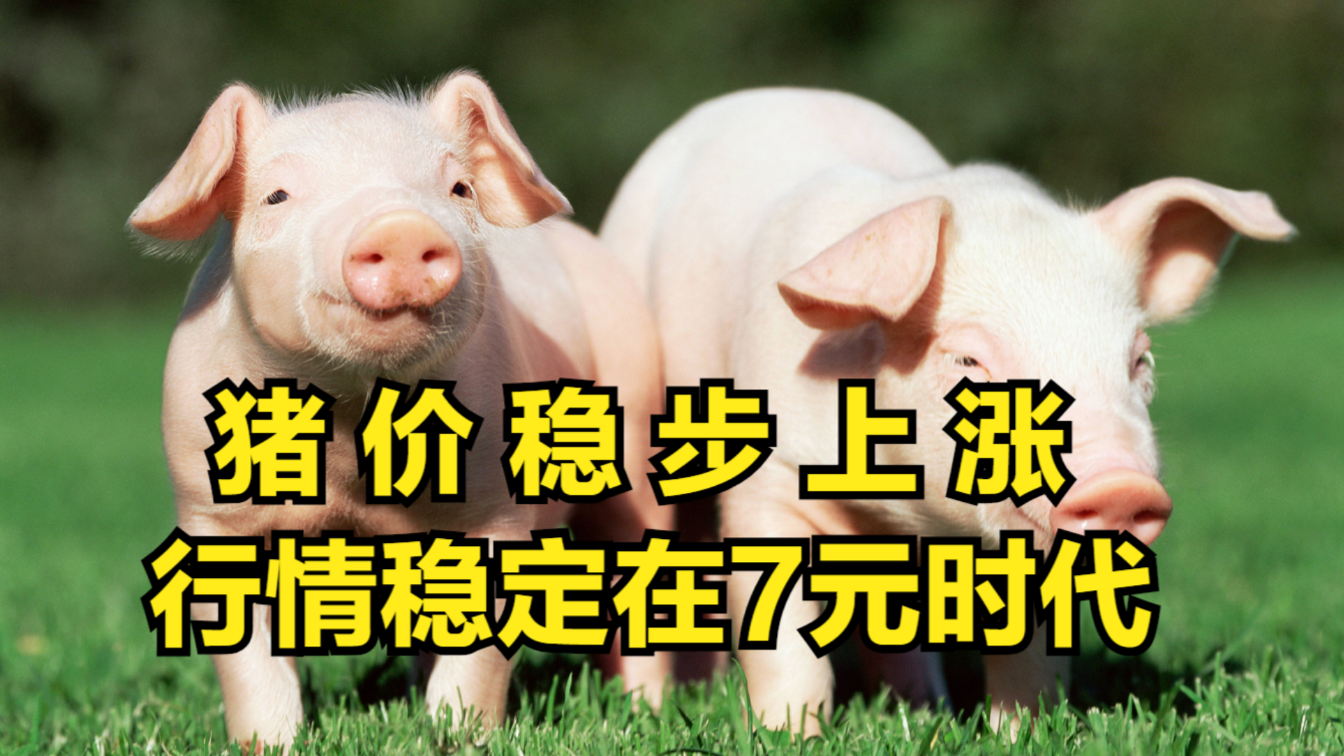 轻质建筑材料制造 第269页
