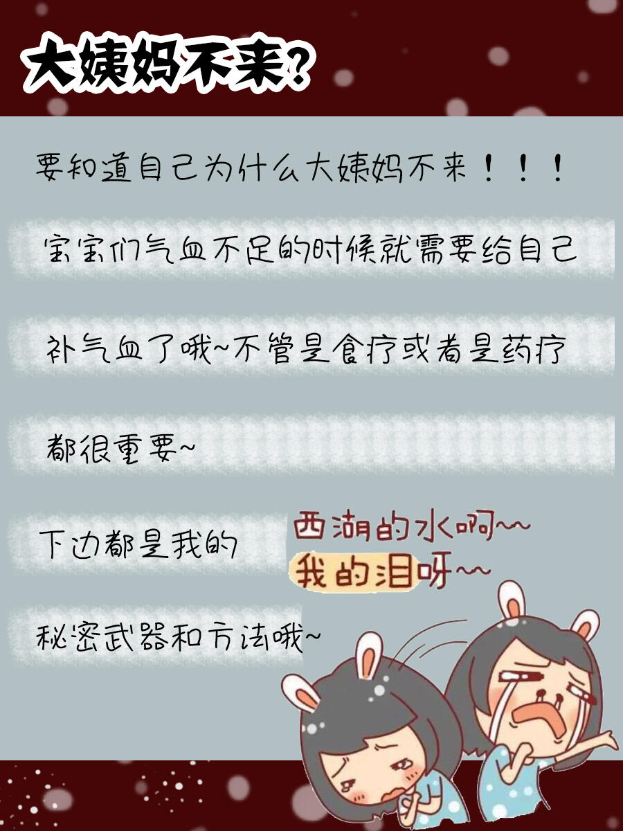 大姨妈最新版全面解读与应用指南