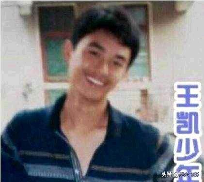 老演员王凯,老演员王凯，演艺之路的璀璨之星