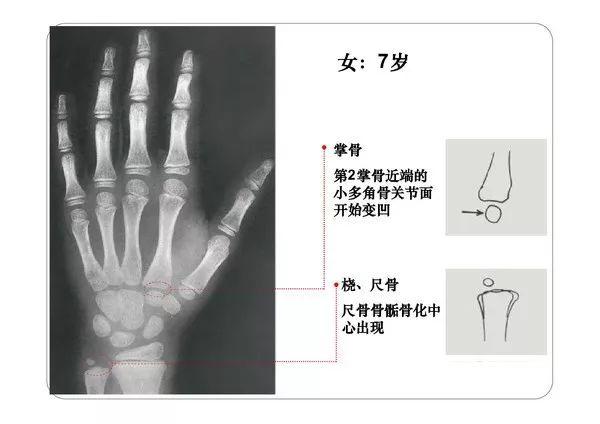 PDF最新版的相关论述与探讨