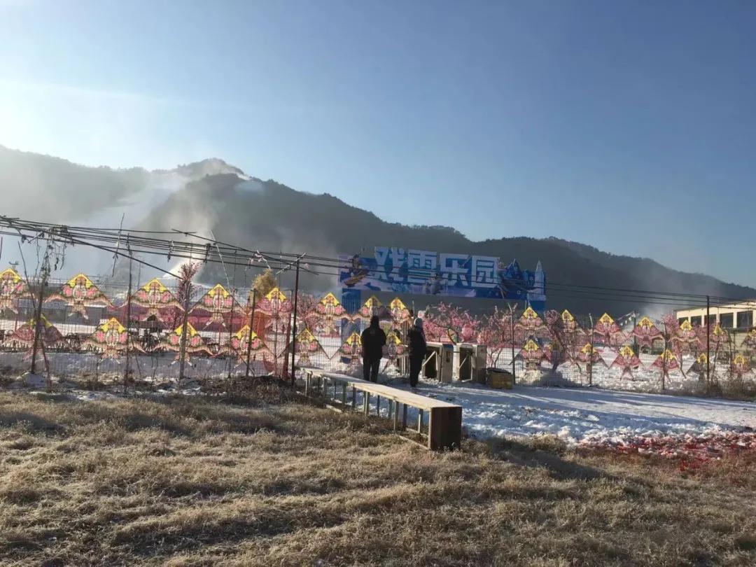 小巷深处的时尚秘密，钢架雪车比赛服的魅力风采