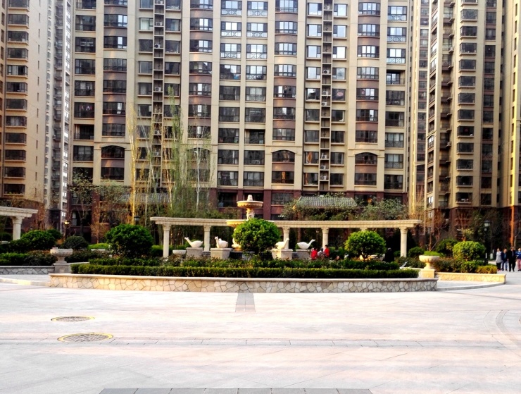 盛世御城项目最新动态，学习变革，成就自信与梦想之旅