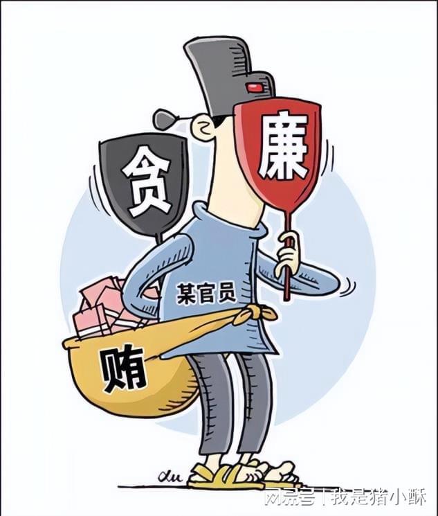 最新违法干部,最新违法干部的审视与探讨，某某观点分析