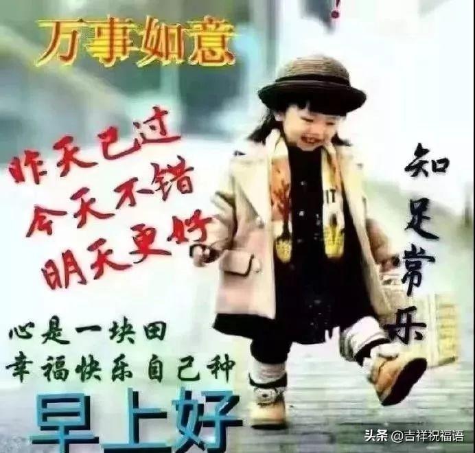 轻质建筑材料销售 第236页