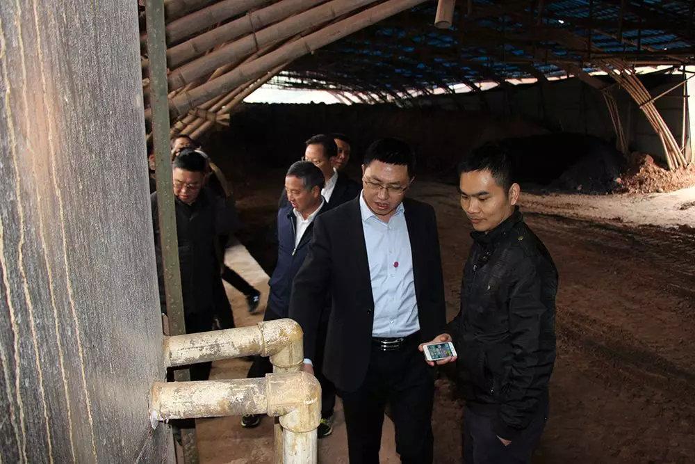 四川启明星，文化影响力与经济发展的双刃剑效应探究