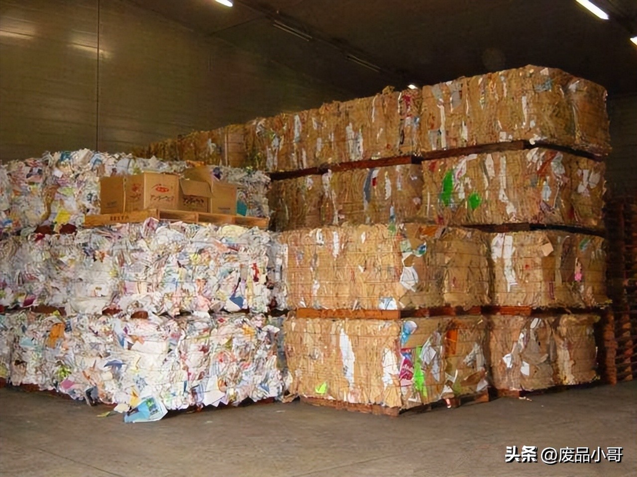 湖北废纸价格最新行情指南，全面解析当前市场趋势