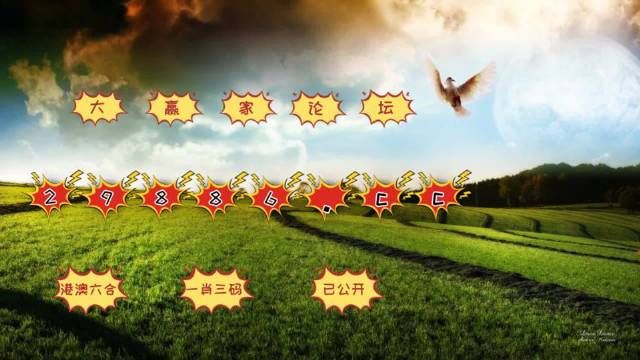 4949澳门彩开奖结果,可靠执行操作方式_跨平台版81.571