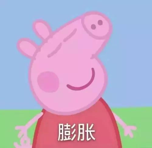 小猪佩奇演员，幕后英雄们的闪耀之光