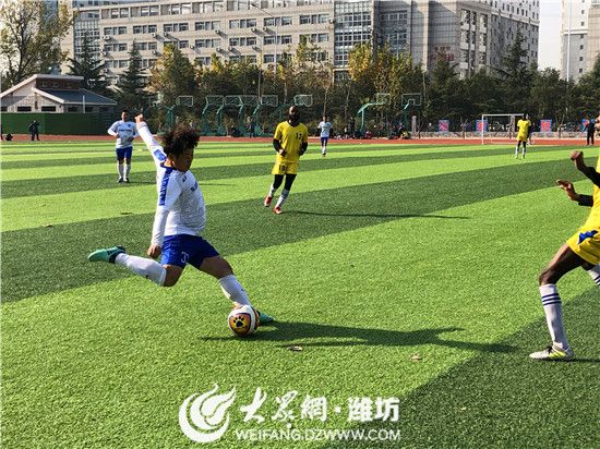 足球比赛中裁判的数量与角色解析，从一到多个裁判的角色探讨