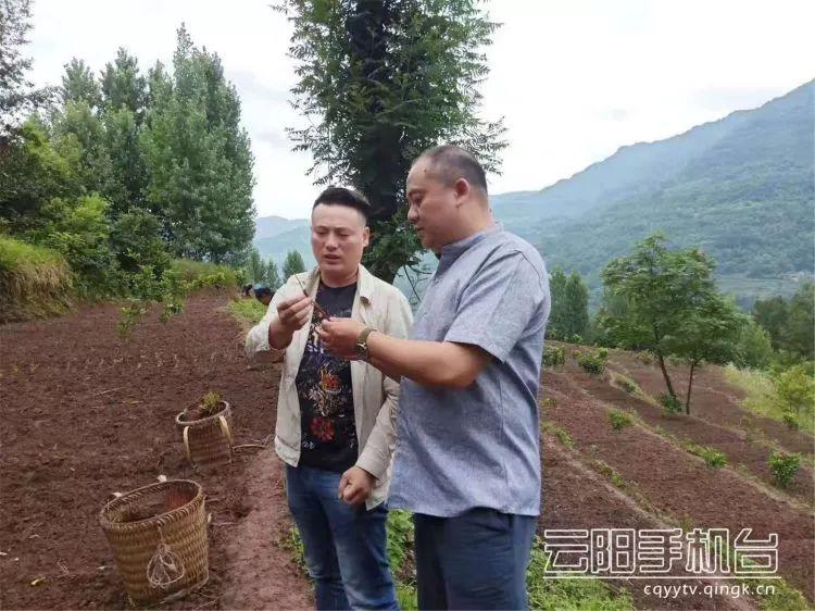 轻质建筑材料制造 第52页