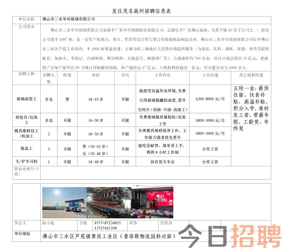 新塍最新职位招聘全面解析，观点阐述与招聘动态速递
