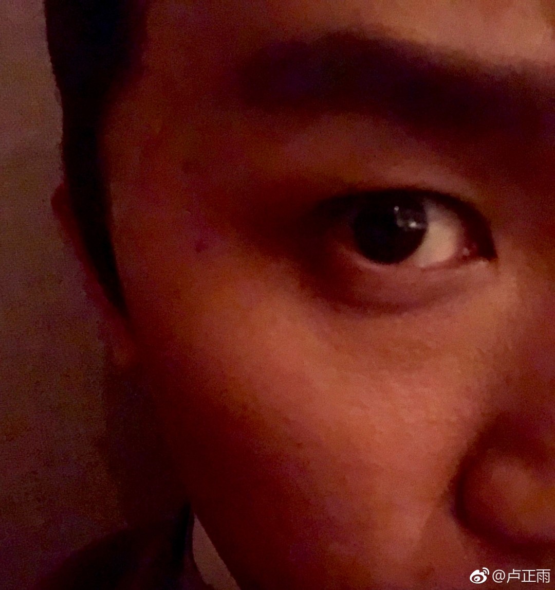 卢正雨最新动态揭秘，追踪作品与资讯的指南