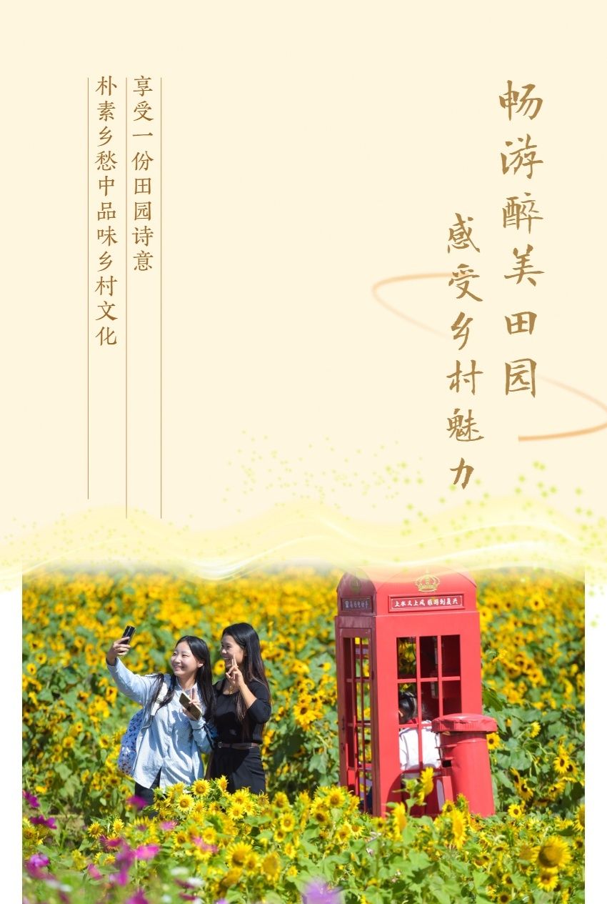 现代农村复杂情感与人性的多维展现——最新乡村情感章节