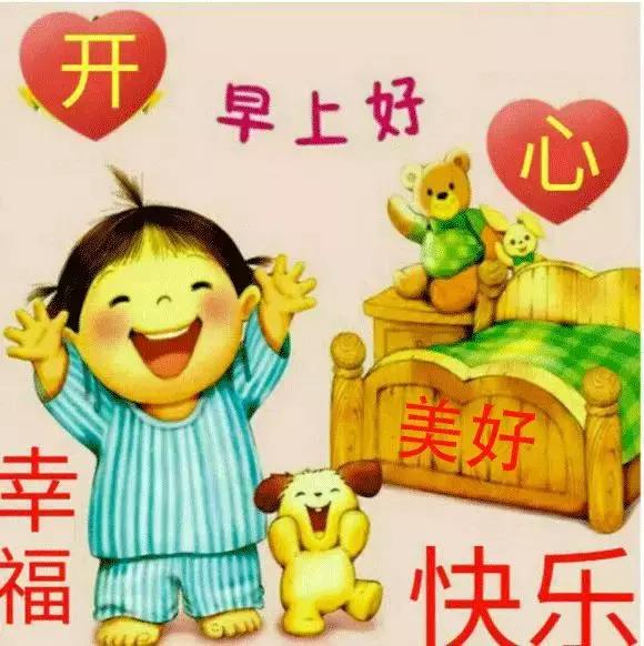 每日精选问候语，温暖人心的小确幸之花