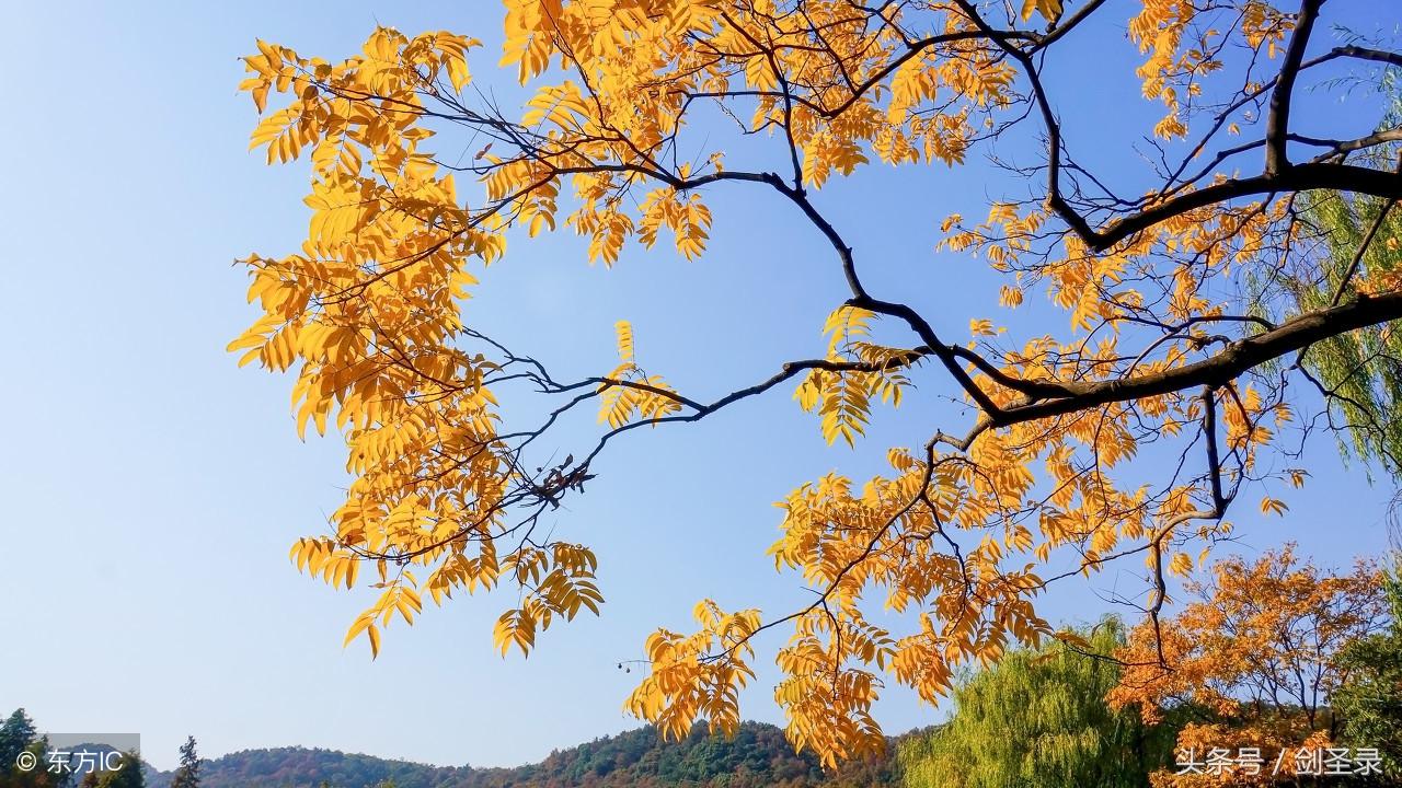 建筑砌块销售 第28页