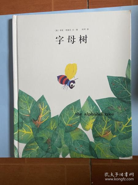 巴元明最新出诊时间及相关探讨与观点阐述