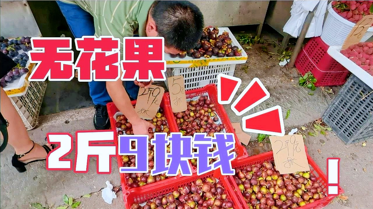 科技前沿的智能无花果价格系统，重塑生活，未来价格之旅