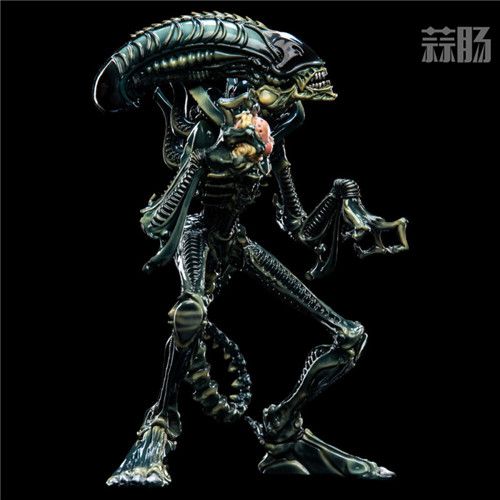 深度揭秘，宇宙奇异生命形态——最新异形信息解析